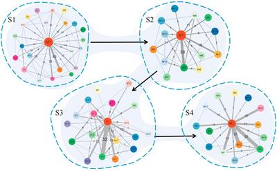 Investigating the evolution process of lung adenocarcinoma via random walk and dynamic network analysis